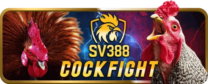 Khuyến mãi ko66